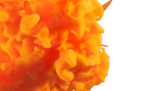 WhatsApp Image 2025-06-25 at 6.20.40 PM